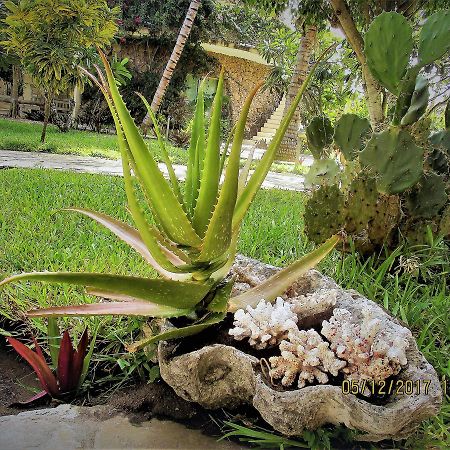 Fortamu Lady D House Watamu Ngoại thất bức ảnh