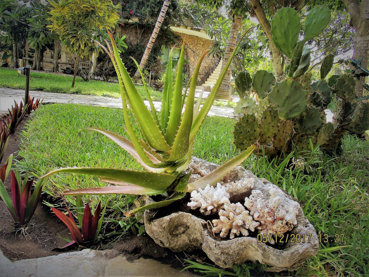 Fortamu Lady D House Watamu Ngoại thất bức ảnh